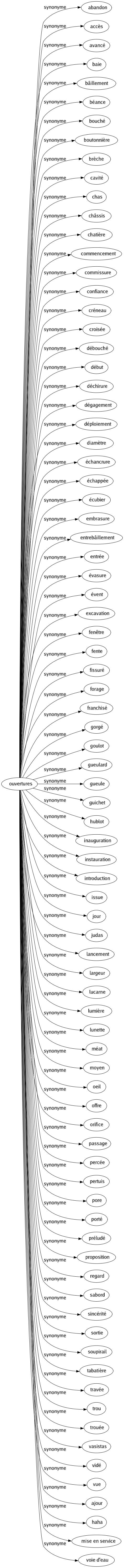 Synonyme de Ouvertures : Abandon Accès Avancé Baie Bâillement Béance Bouché Boutonnière Brèche Cavité Chas Châssis Chatière Commencement Commissure Confiance Créneau Croisée Débouché Début Déchirure Dégagement Déploiement Diamètre Échancrure Échappée Écubier Embrasure Entrebâillement Entrée Évasure Évent Excavation Fenêtre Fente Fissuré Forage Franchisé Gorgé Goulot Gueulard Gueule Guichet Hublot Inauguration Instauration Introduction Issue Jour Judas Lancement Largeur Lucarne Lumière Lunette Méat Moyen Oeil Offre Orifice Passage Percée Pertuis Pore Porté Préludé Proposition Regard Sabord Sincérité Sortie Soupirail Tabatière Travée Trou Trouée Vasistas Vidé Vue Ajour Haha Mise en service Voie d'eau 