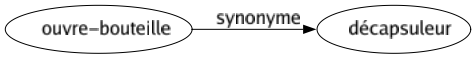 Synonyme de Ouvre-bouteille : Décapsuleur 