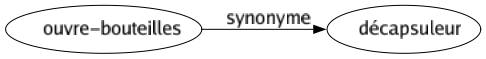 Synonyme de Ouvre-bouteilles : Décapsuleur 