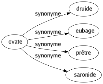 Synonyme de Ovate : Druide Eubage Prêtre Saronide 