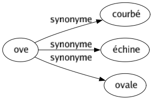 Synonyme de Ove : Courbé Échine Ovale 