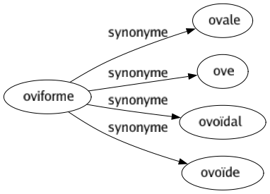 Synonyme de Oviforme : Ovale Ove Ovoïdal Ovoïde 