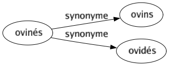 Synonyme de Ovinés : Ovins Ovidés 