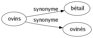 Synonyme de Ovins : Bétail Ovinés 