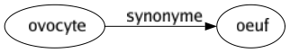 Synonyme de Ovocyte : Oeuf 