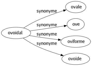 Synonyme de Ovoïdal : Ovale Ove Oviforme Ovoïde 