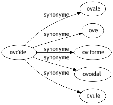 Synonyme de Ovoïde : Ovale Ove Oviforme Ovoïdal Ovule 