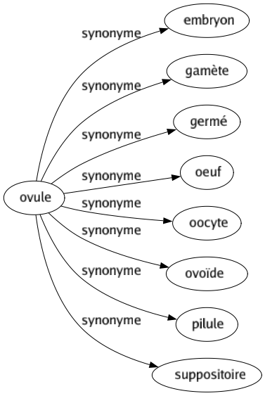 Synonyme de Ovule : Embryon Gamète Germé Oeuf Oocyte Ovoïde Pilule Suppositoire 