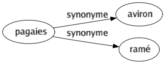 Synonyme de Pagaies : Aviron Ramé 