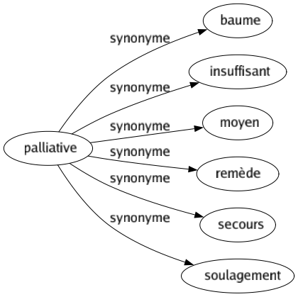 Synonyme de Palliative : Baume Insuffisant Moyen Remède Secours Soulagement 