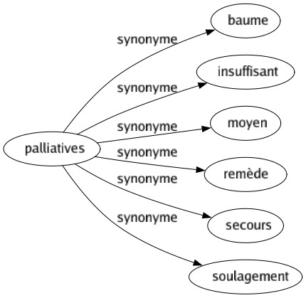 Synonyme de Palliatives : Baume Insuffisant Moyen Remède Secours Soulagement 