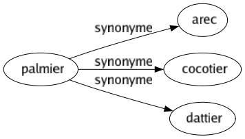 Synonyme de Palmier : Arec Cocotier Dattier 