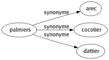 Synonyme de Palmiers : Arec Cocotier Dattier 