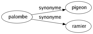 Synonyme de Palombe : Pigeon Ramier 