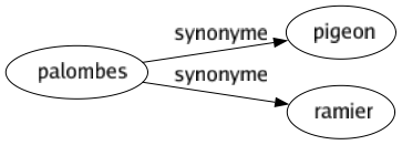 Synonyme de Palombes : Pigeon Ramier 