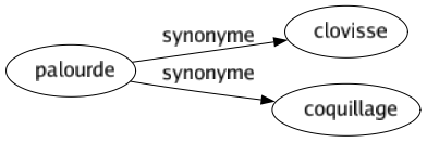 Synonyme de Palourde : Clovisse Coquillage 