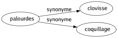 Synonyme de Palourdes : Clovisse Coquillage 