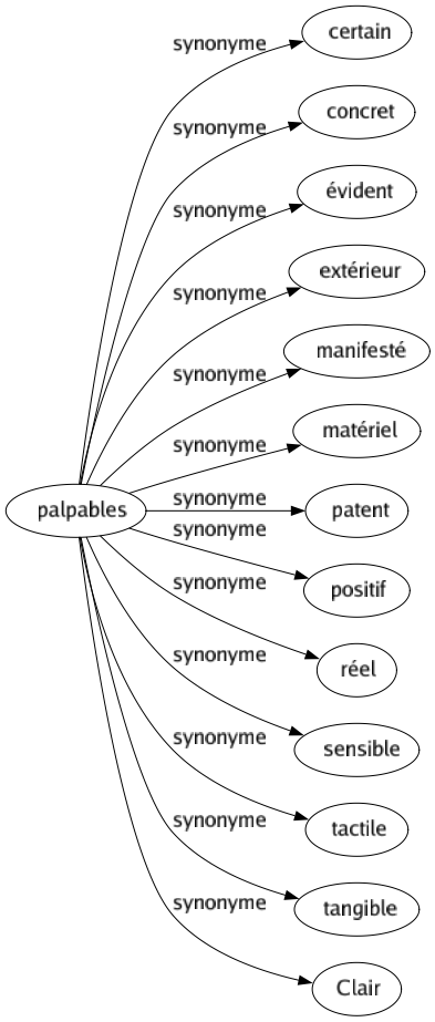 Synonyme de Palpables : Certain Concret Évident Extérieur Manifesté Matériel Patent Positif Réel Sensible Tactile Tangible Clair 