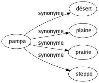 Synonyme de Pampa : Désert Plaine Prairie Steppe 