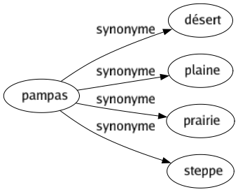 Synonyme de Pampas : Désert Plaine Prairie Steppe 