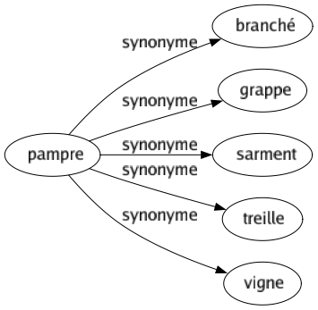 Synonyme de Pampre : Branché Grappe Sarment Treille Vigne 