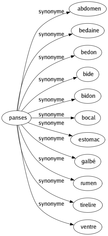 Synonyme de Panses : Abdomen Bedaine Bedon Bide Bidon Bocal Estomac Galbé Rumen Tirelire Ventre 