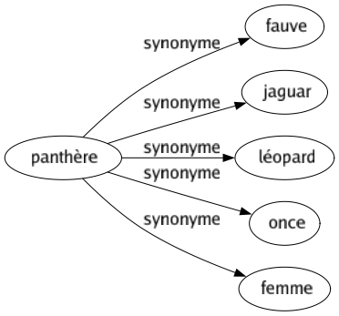 Synonyme de Panthère : Fauve Jaguar Léopard Once Femme 