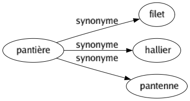 Synonyme de Pantière : Filet Hallier Pantenne 