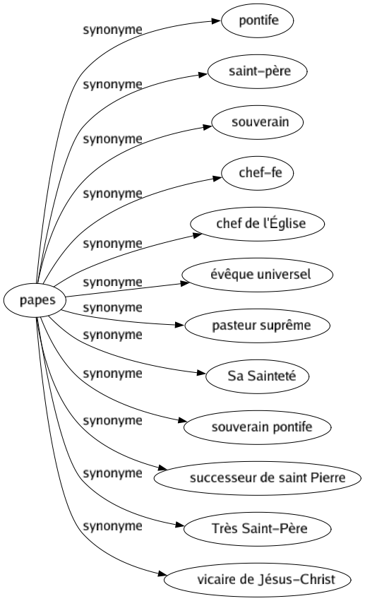 Synonyme de Papes : Pontife Saint-père Souverain Chef-fe Chef de l'église Évêque universel Pasteur suprême Sa sainteté Souverain pontife Successeur de saint pierre Très saint-père Vicaire de jésus-christ 