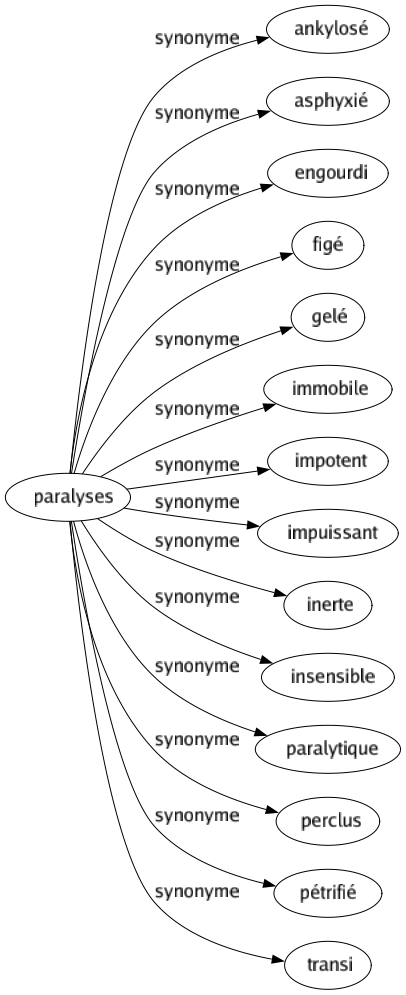 Synonyme de Paralyses : Ankylosé Asphyxié Engourdi Figé Gelé Immobile Impotent Impuissant Inerte Insensible Paralytique Perclus Pétrifié Transi 