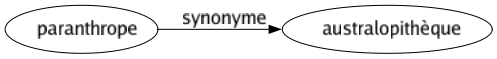 Synonyme de Paranthrope : Australopithèque 