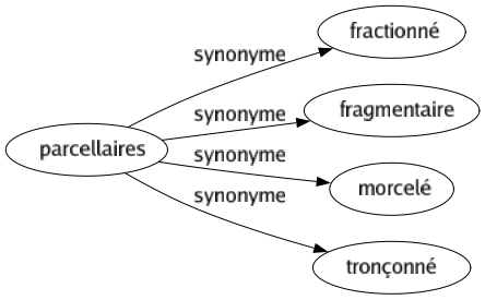 Synonyme de Parcellaires : Fractionné Fragmentaire Morcelé Tronçonné 