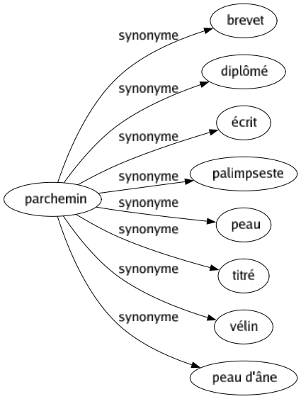 Synonyme de Parchemin : Brevet Diplômé Écrit Palimpseste Peau Titré Vélin Peau d'âne 