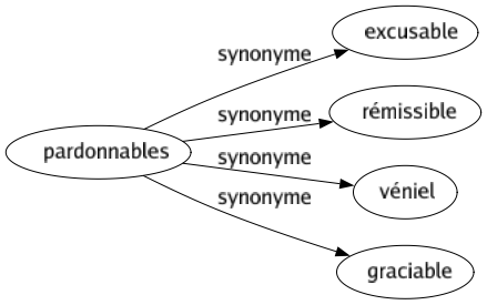 Synonyme de Pardonnables : Excusable Rémissible Véniel Graciable 