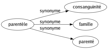 Synonyme de Parentèle : Consanguinité Famille Parenté 