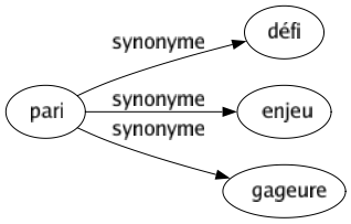 Synonyme de Pari : Défi Enjeu Gageure 