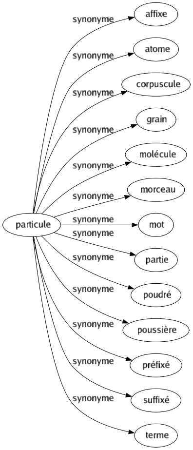 Synonyme de Particule : Affixe Atome Corpuscule Grain Molécule Morceau Mot Partie Poudré Poussière Préfixé Suffixé Terme 