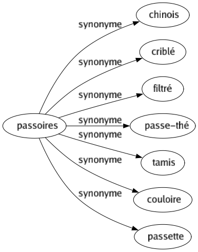 Synonyme de Passoires : Chinois Criblé Filtré Passe-thé Tamis Couloire Passette 