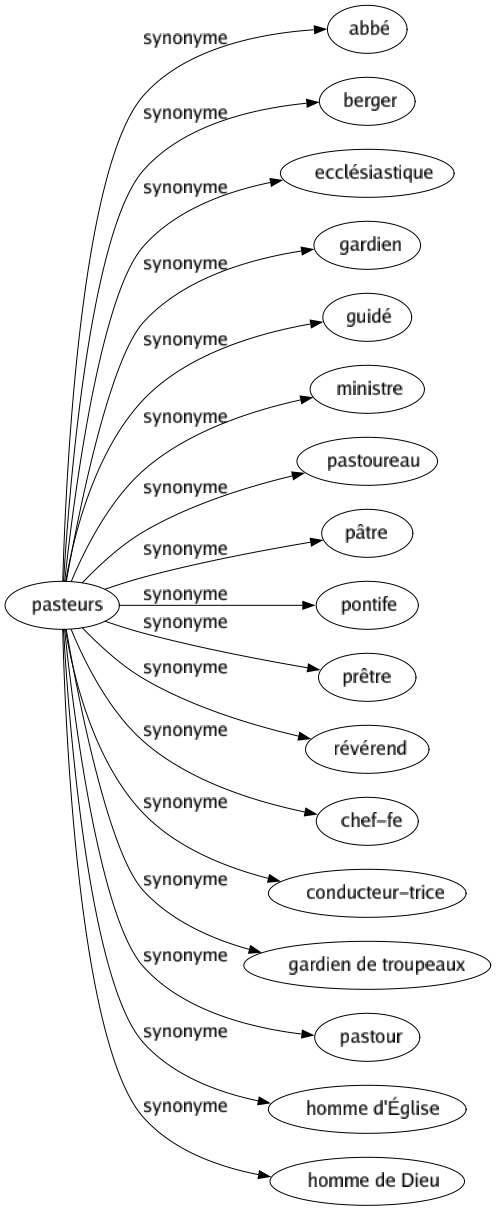 Synonyme de Pasteurs : Abbé Berger Ecclésiastique Gardien Guidé Ministre Pastoureau Pâtre Pontife Prêtre Révérend Chef-fe Conducteur-trice Gardien de troupeaux Pastour Homme d'église Homme de dieu 