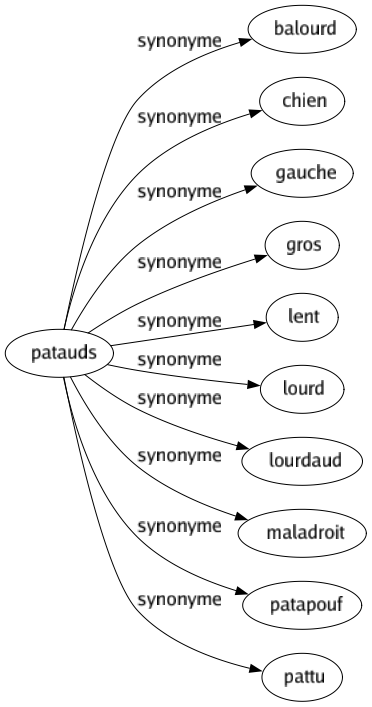 Synonyme de Patauds : Balourd Chien Gauche Gros Lent Lourd Lourdaud Maladroit Patapouf Pattu 