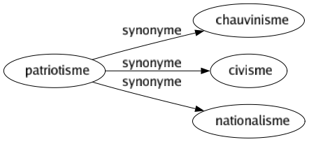 Synonyme de Patriotisme : Chauvinisme Civisme Nationalisme 