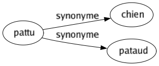 Synonyme de Pattu : Chien Pataud 