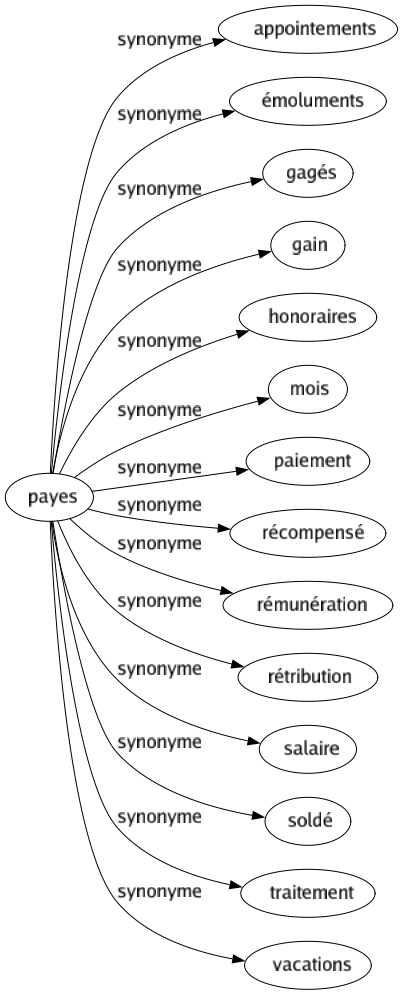 Synonyme de Payes : Appointements Émoluments Gagés Gain Honoraires Mois Paiement Récompensé Rémunération Rétribution Salaire Soldé Traitement Vacations 