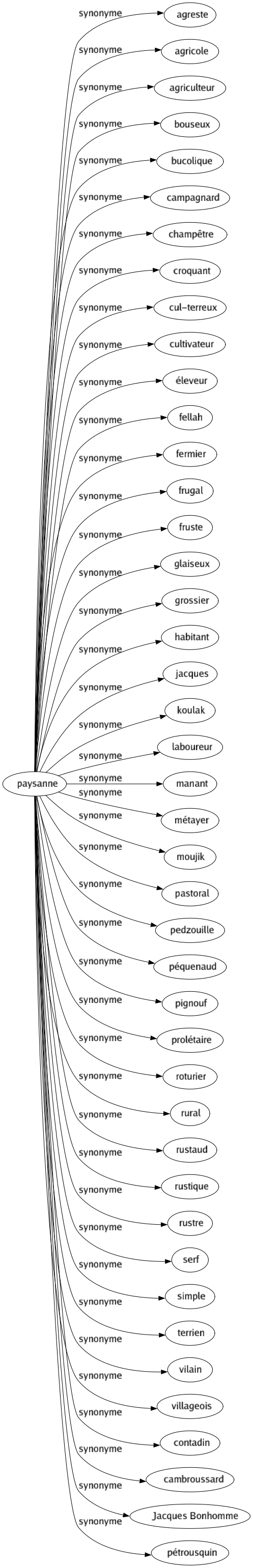 Synonyme de Paysanne : Agreste Agricole Agriculteur Bouseux Bucolique Campagnard Champêtre Croquant Cul-terreux Cultivateur Éleveur Fellah Fermier Frugal Fruste Glaiseux Grossier Habitant Jacques Koulak Laboureur Manant Métayer Moujik Pastoral Pedzouille Péquenaud Pignouf Prolétaire Roturier Rural Rustaud Rustique Rustre Serf Simple Terrien Vilain Villageois Contadin Cambroussard Jacques bonhomme Pétrousquin 