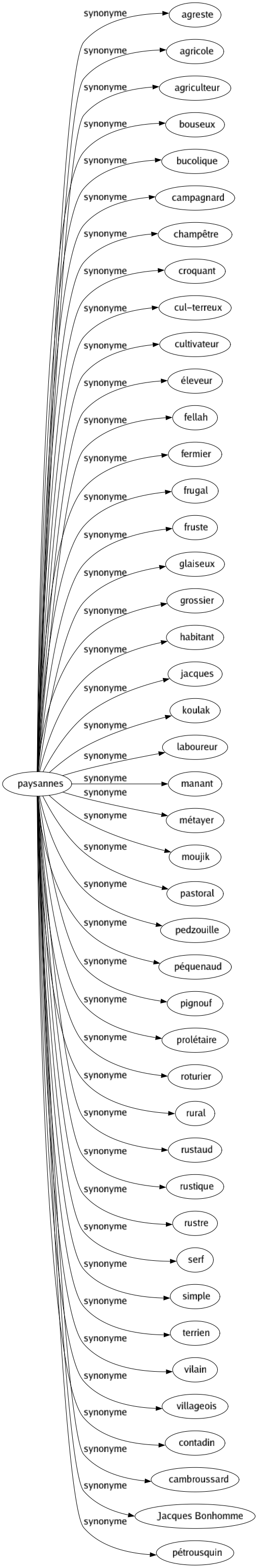 Synonyme de Paysannes : Agreste Agricole Agriculteur Bouseux Bucolique Campagnard Champêtre Croquant Cul-terreux Cultivateur Éleveur Fellah Fermier Frugal Fruste Glaiseux Grossier Habitant Jacques Koulak Laboureur Manant Métayer Moujik Pastoral Pedzouille Péquenaud Pignouf Prolétaire Roturier Rural Rustaud Rustique Rustre Serf Simple Terrien Vilain Villageois Contadin Cambroussard Jacques bonhomme Pétrousquin 