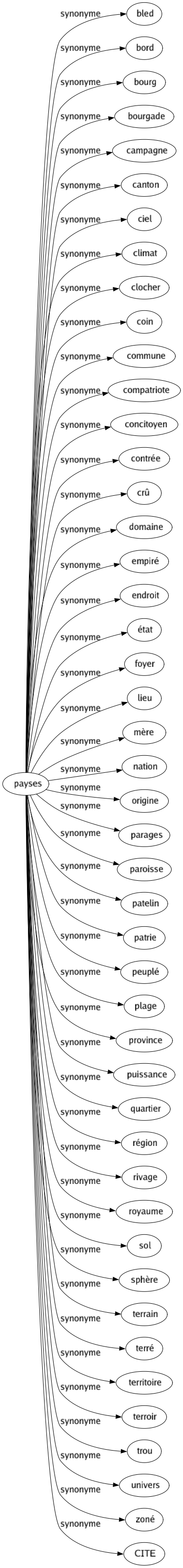 Synonyme de Payses : Bled Bord Bourg Bourgade Campagne Canton Ciel Climat Clocher Coin Commune Compatriote Concitoyen Contrée Crû Domaine Empiré Endroit État Foyer Lieu Mère Nation Origine Parages Paroisse Patelin Patrie Peuplé Plage Province Puissance Quartier Région Rivage Royaume Sol Sphère Terrain Terré Territoire Terroir Trou Univers Zoné Cite 