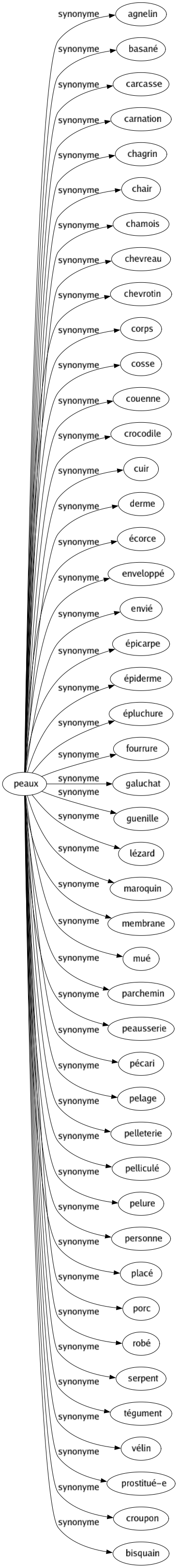 Synonyme de Peaux : Agnelin Basané Carcasse Carnation Chagrin Chair Chamois Chevreau Chevrotin Corps Cosse Couenne Crocodile Cuir Derme Écorce Enveloppé Envié Épicarpe Épiderme Épluchure Fourrure Galuchat Guenille Lézard Maroquin Membrane Mué Parchemin Peausserie Pécari Pelage Pelleterie Pelliculé Pelure Personne Placé Porc Robé Serpent Tégument Vélin Prostitué-e Croupon Bisquain 