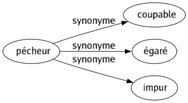 Synonyme de Pécheur : Coupable Égaré Impur 