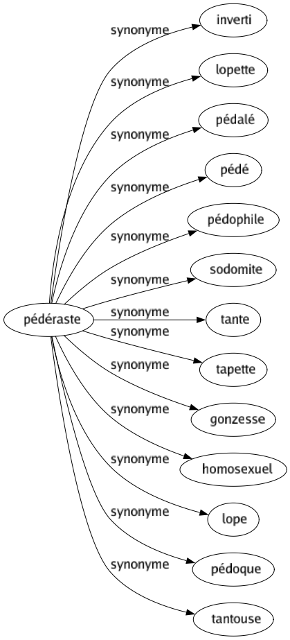 Synonyme de Pédéraste : Inverti Lopette Pédalé Pédé Pédophile Sodomite Tante Tapette Gonzesse Homosexuel Lope Pédoque Tantouse 