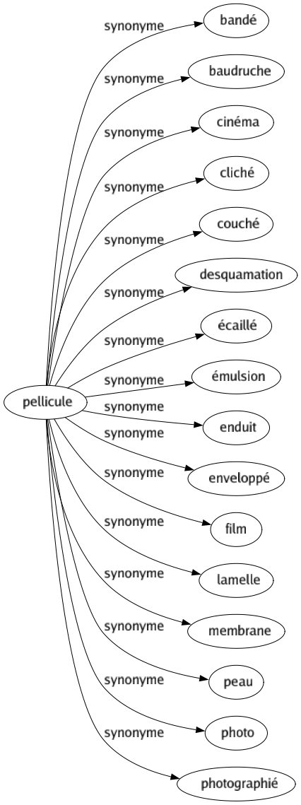 Synonyme de Pellicule : Bandé Baudruche Cinéma Cliché Couché Desquamation Écaillé Émulsion Enduit Enveloppé Film Lamelle Membrane Peau Photo Photographié 